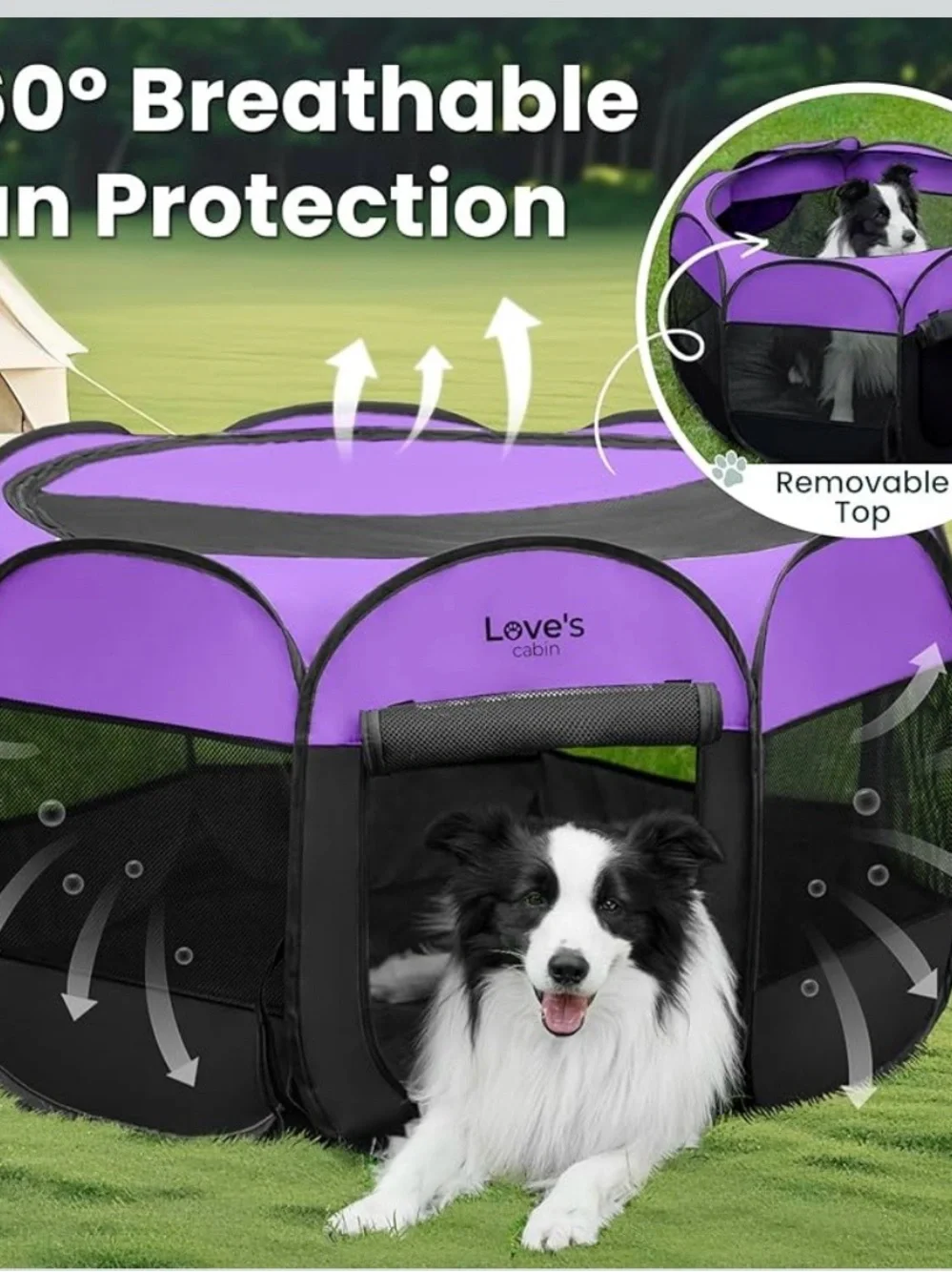 Love's Cabin Portable Playpen - Purple & Black